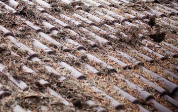 Stonehouses roof cleaning companies