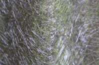 Stonehouses fibreglass roof work